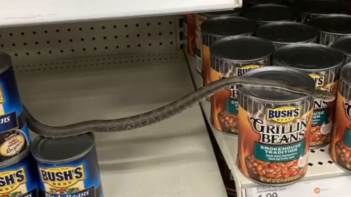 Di mua sam, co gai phat hien ran tren ke sieu thi o My hinh anh