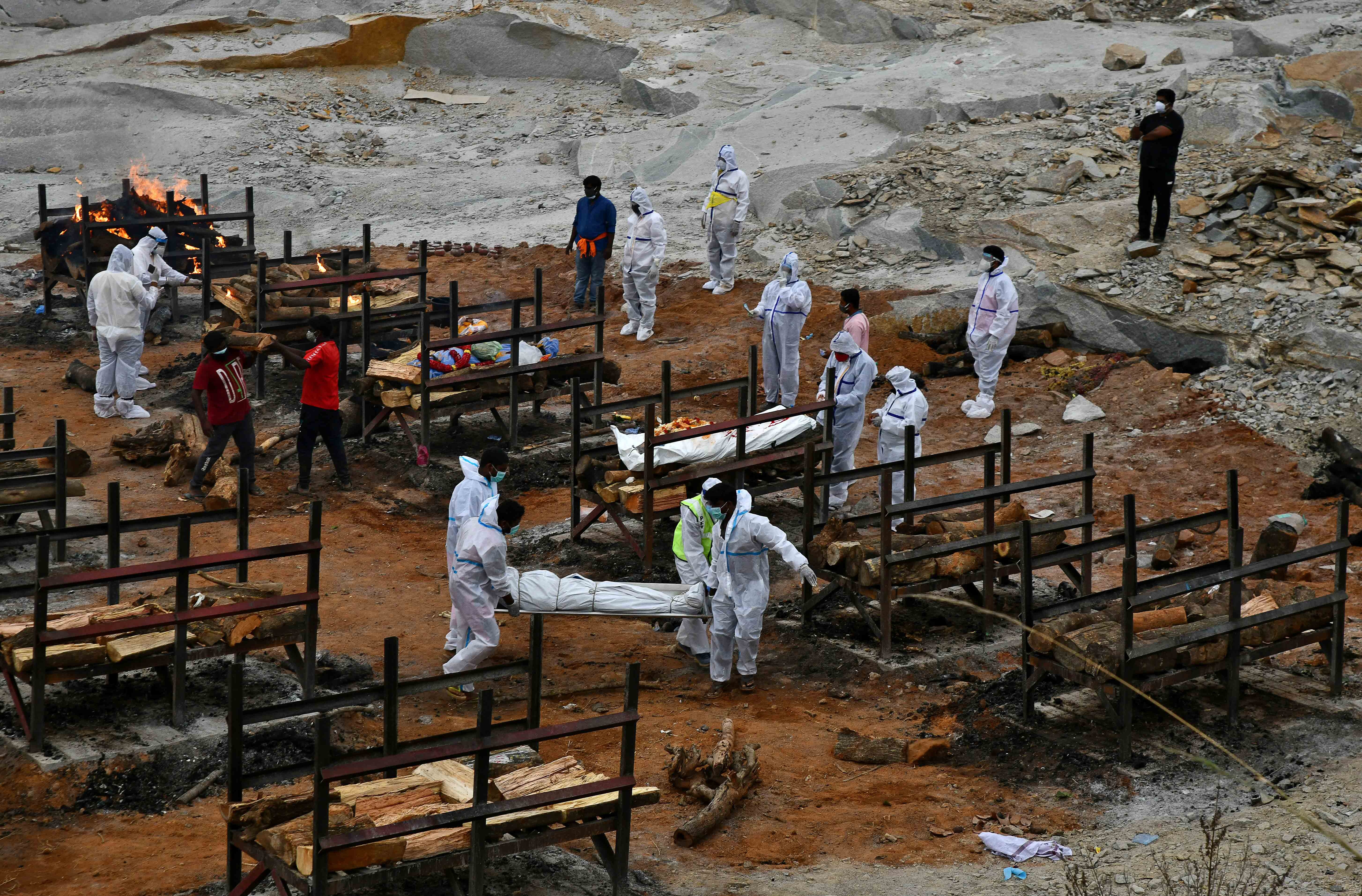 Lo la sau moi lan dai dich, con nguoi phai tra gia dat hinh anh