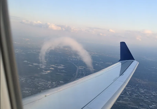 Tho san bao vo tinh chup duoc hinh may mong ngua hinh anh