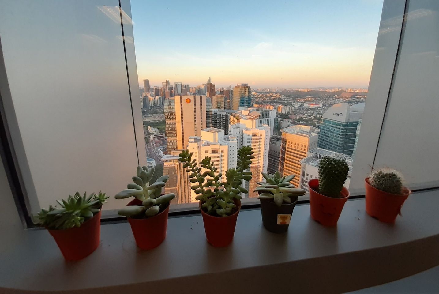 dich Covid-19 chau A anh 7