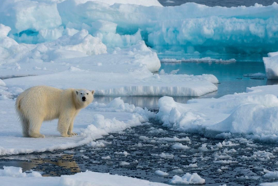 Bang Bac Cuc tan nhanh gap doi do bien doi khi hau hinh anh