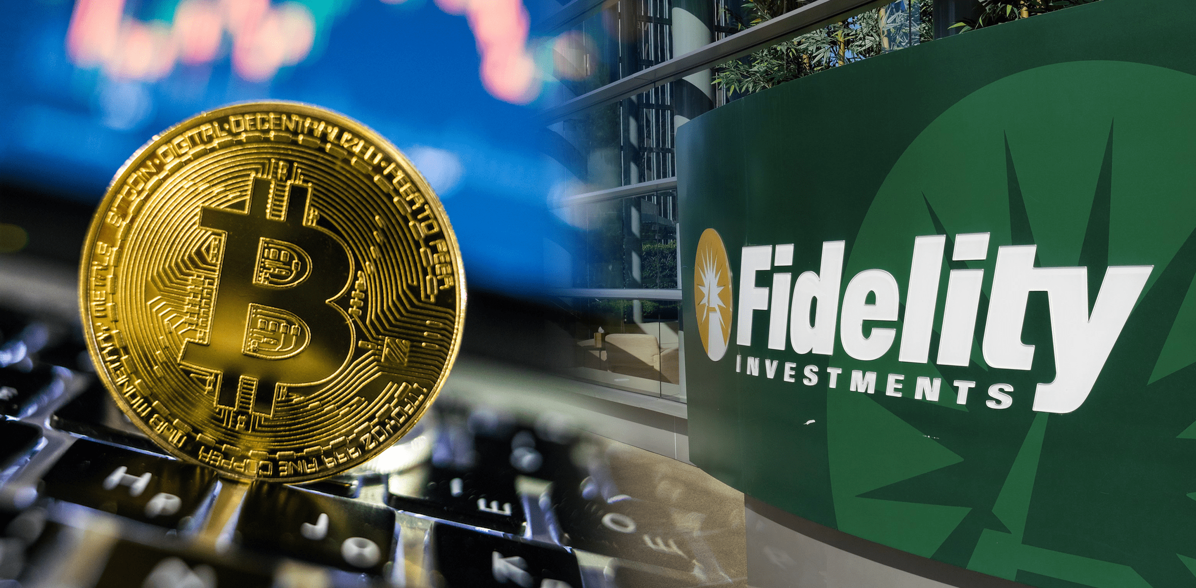 Su tuong dong giua gia Bitcoin va co phieu Apple hinh anh