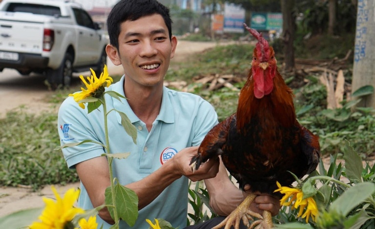 Nuoi ga 9 cua, chang trai Phu Tho thu tien ty dip Tet hinh anh