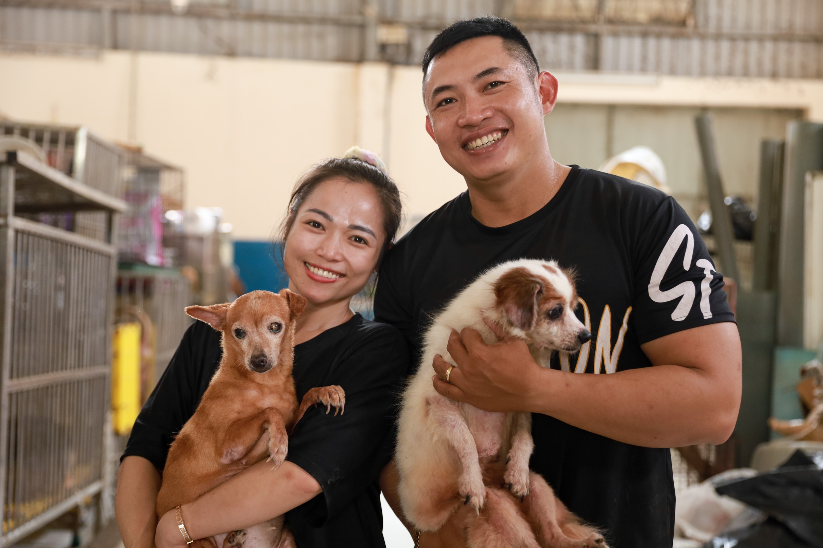 Cap vo chong TP.HCM cham soc gan 600 chu cho meo hinh anh