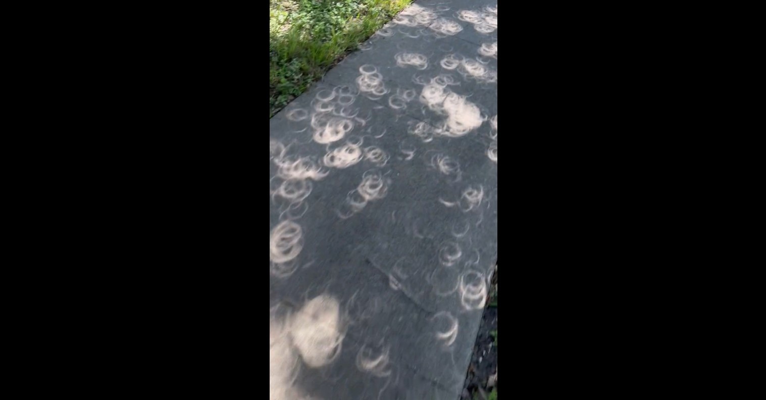 Hien tuong bong nang ky la trong thoi gian xay ra nhat thuc o Bac My hinh anh