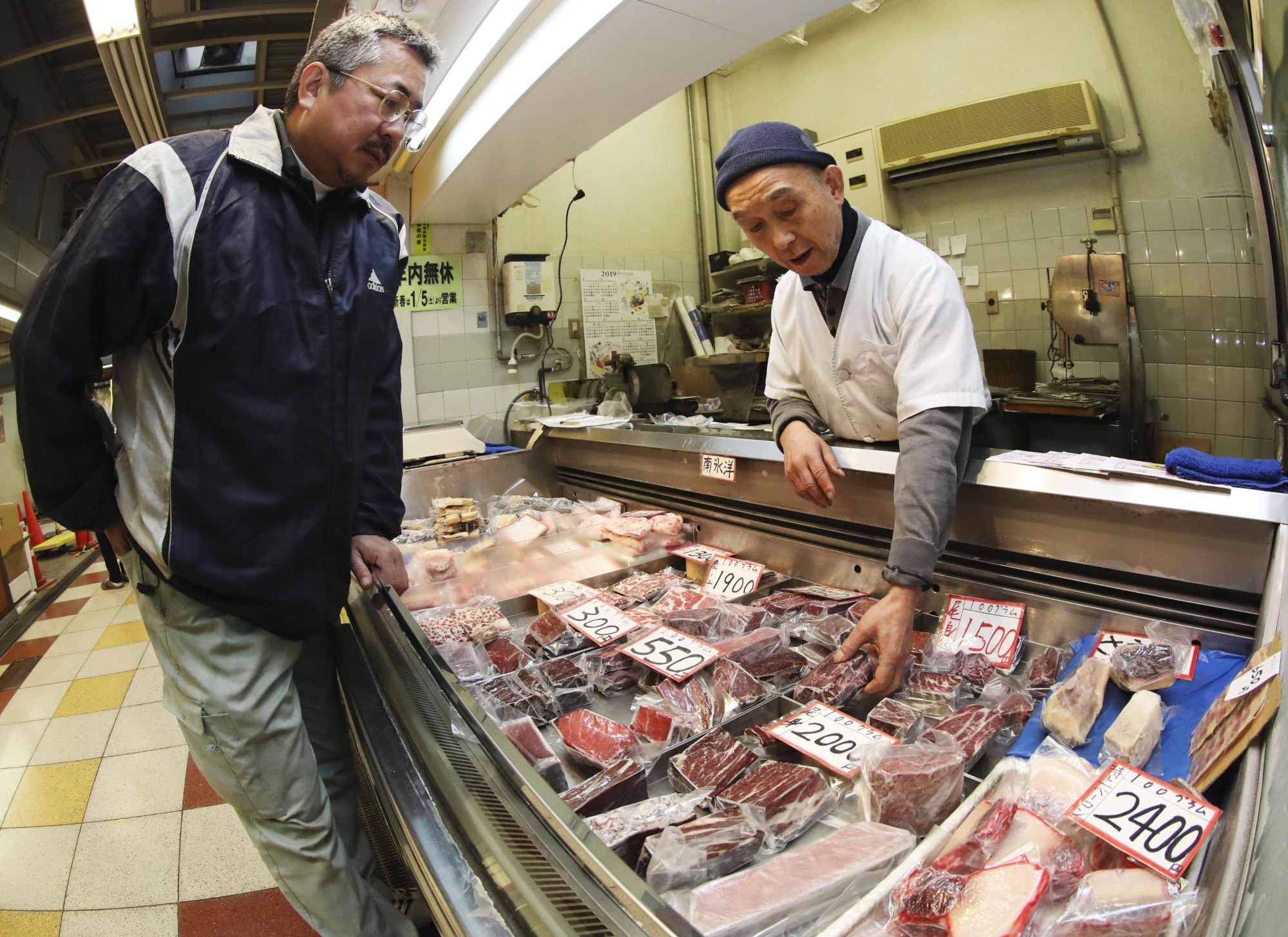 Nhat Ban san ca voi anh 4