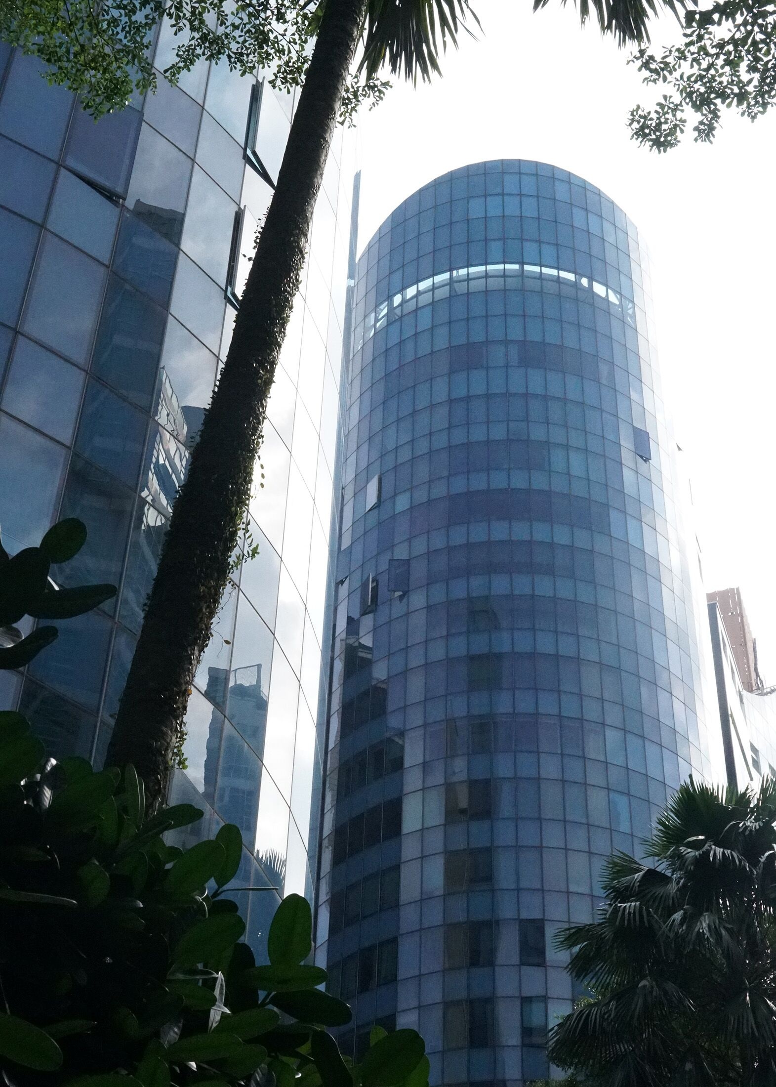 hang xa xi mat gia anh 3