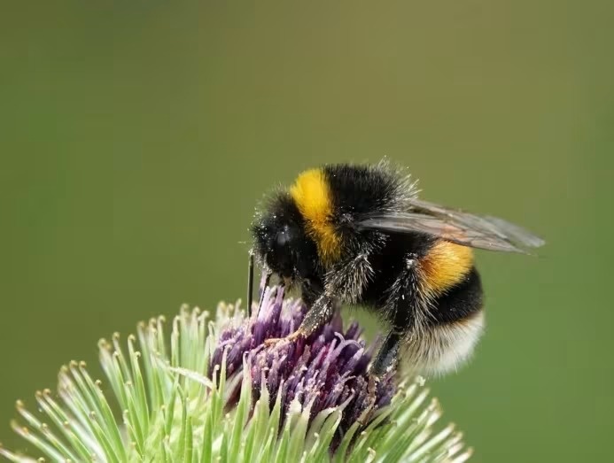 sản phẩm chăm sóc da ảnh 1 san pham cham soc da anh 1