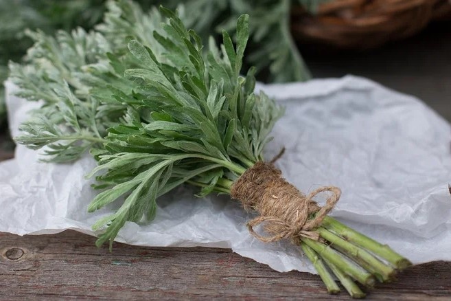 Loi ich cua viec tam bang nuoc ngai cuu hinh anh