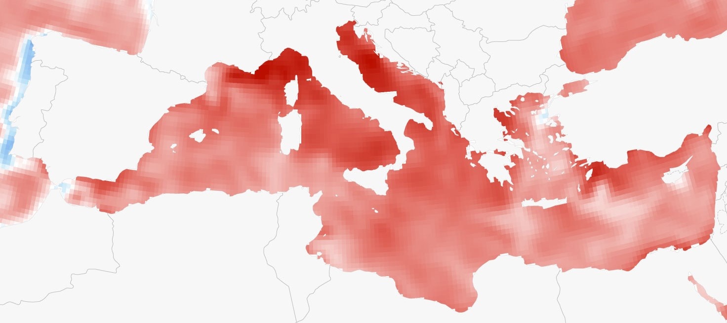 du thuyen bi danh chim anh 2