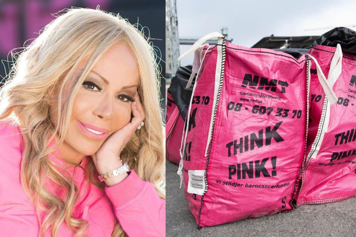 ‘Ba chua rac’ hau toa trong vu an moi truong lon nhat Thuy Dien hinh anh