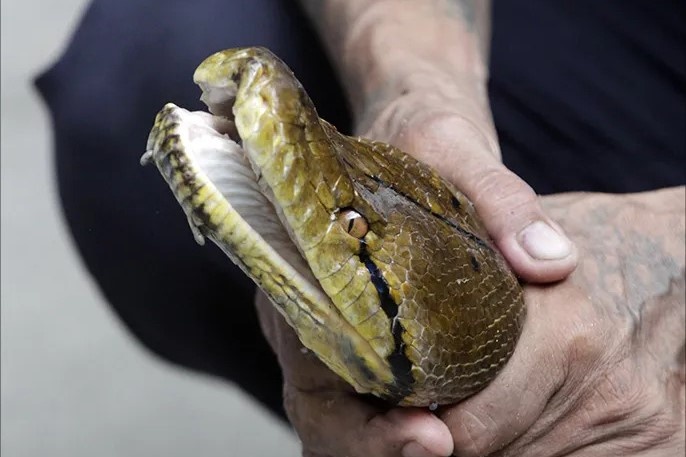 Thoat chet than ky khi bi tran 4 m quan chat suot 2 gio o Thai Lan hinh anh