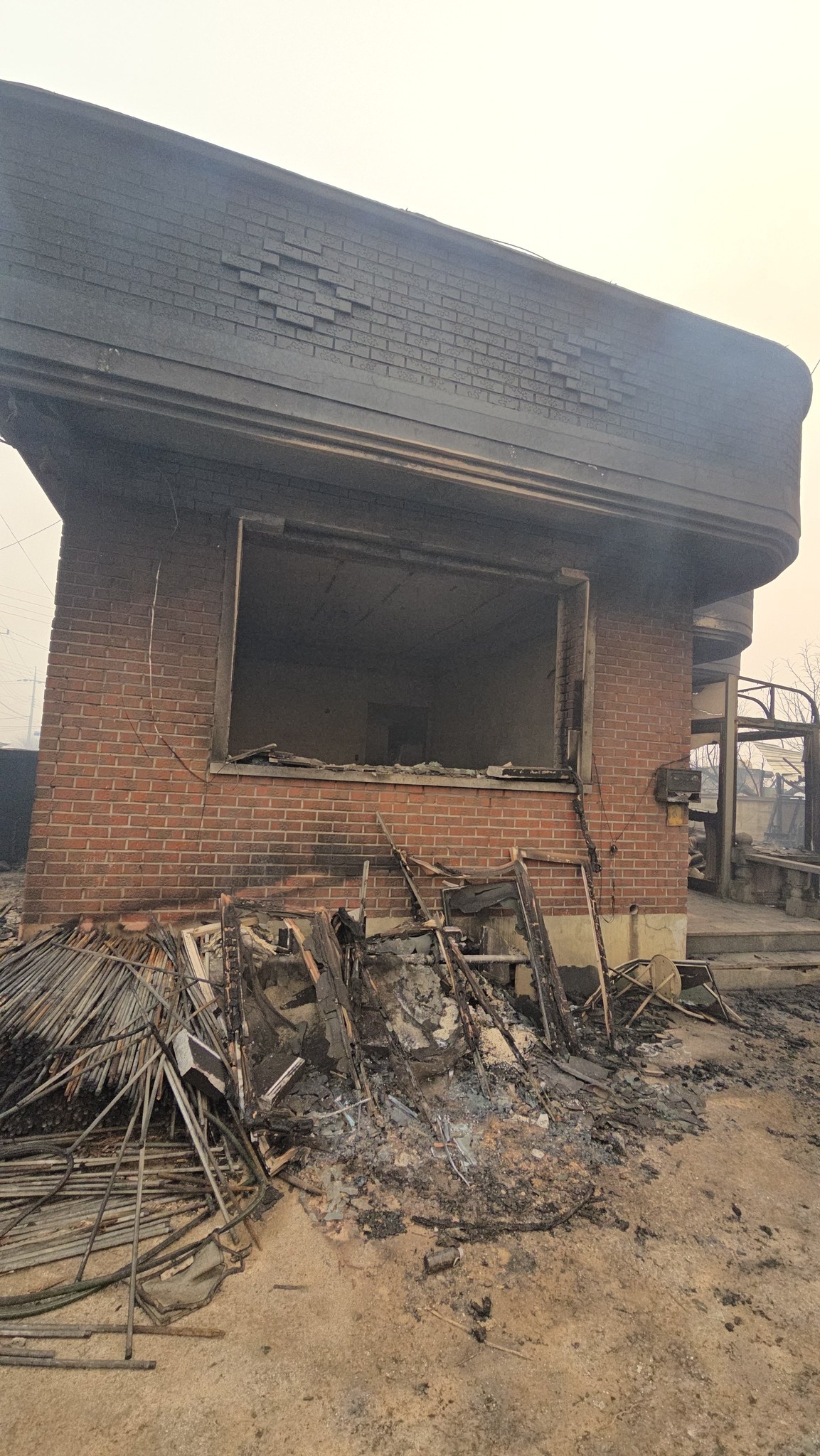 chay rung o Han Quoc anh 1