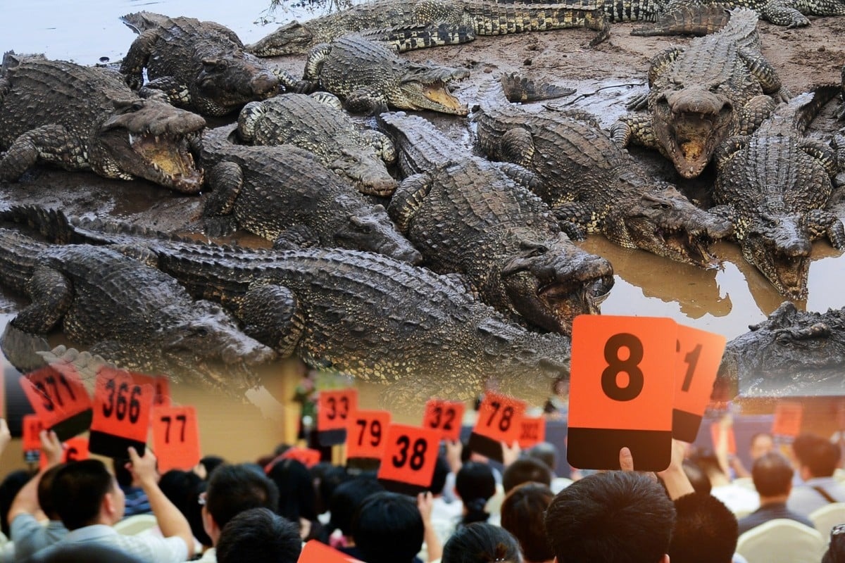 Toa an Trung Quoc dau gia 100 tan ca sau song, khong nhan ship hinh anh