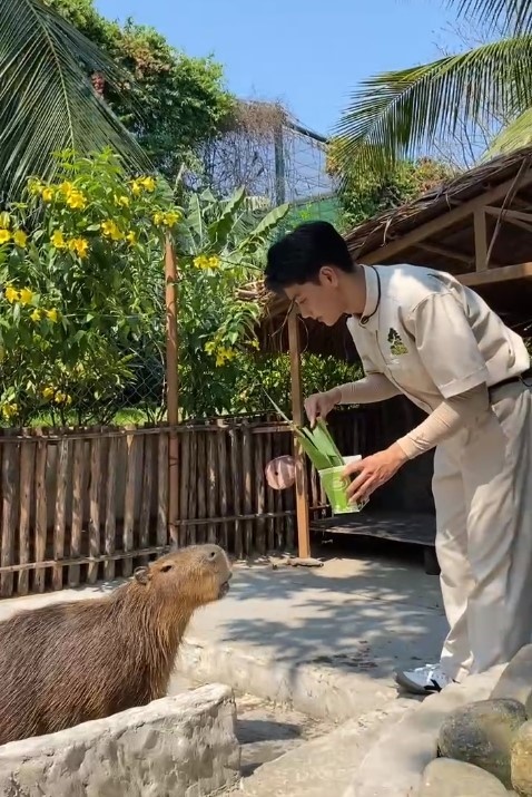 nam than safari Viet Hoang anh 2