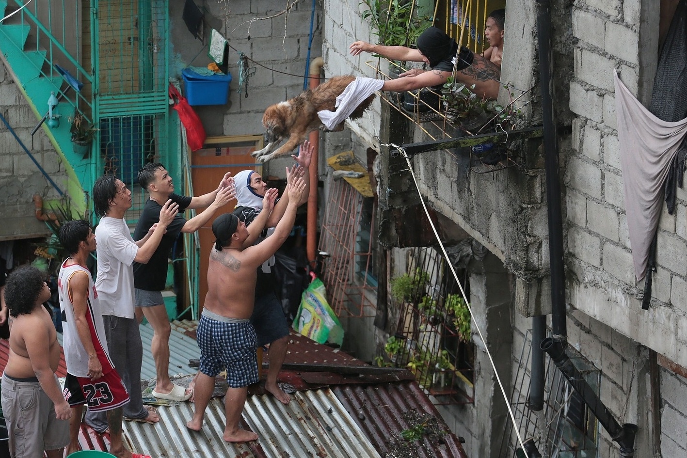 Anh chu cho duoc cuu khoi dam chay o Philippines viral khap coi mang hinh anh