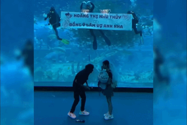 Thay cau hon o thuy cung Phu Quoc, co gai tuong ai hoa ra la minh hinh anh