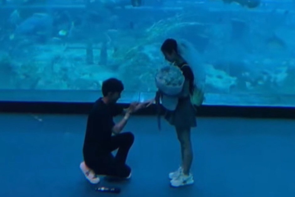 Nam ky su cau hon o thuy cung vi ban gai ten la Thuy hinh anh