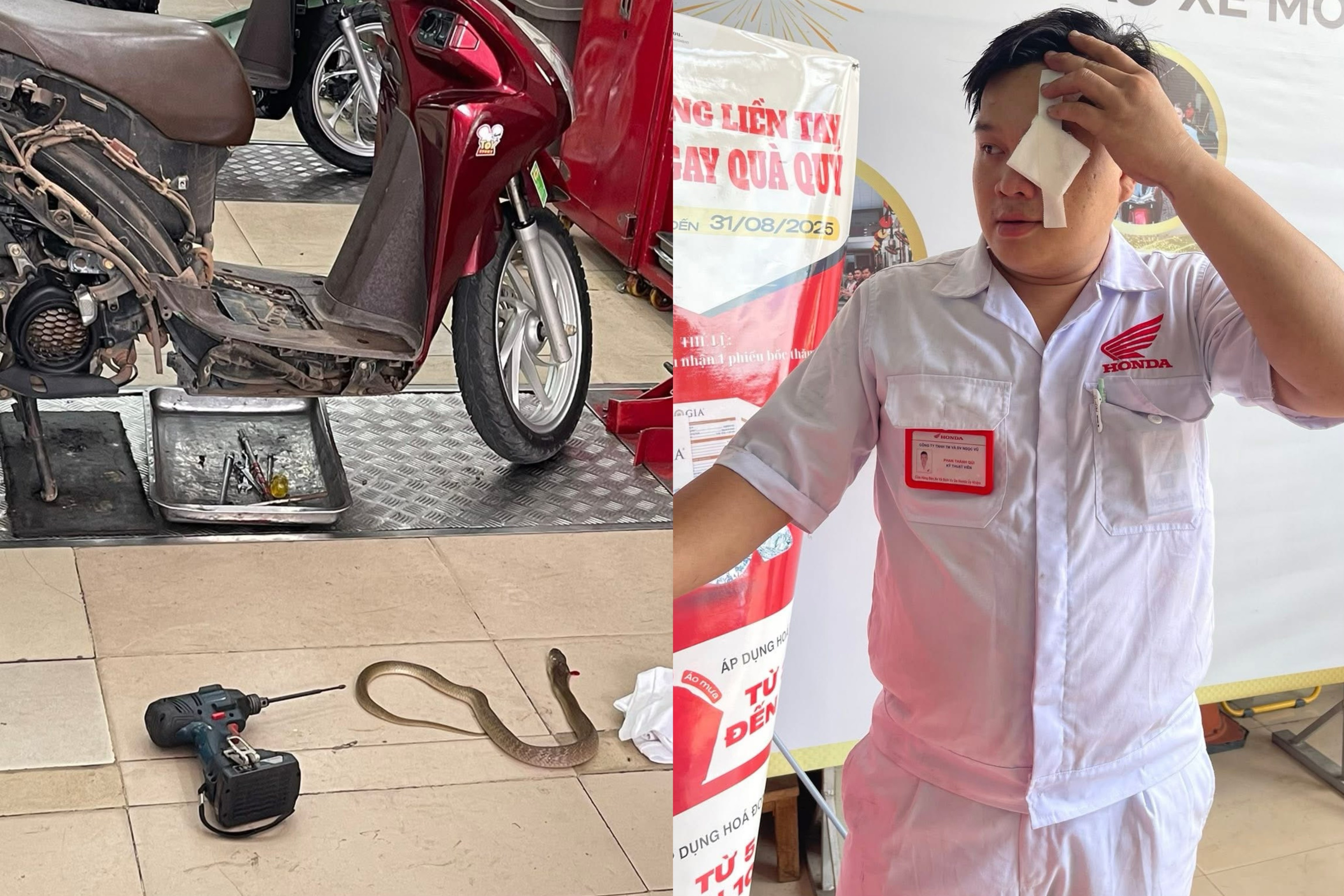 Ran chui ra tu xe may, phun noc doc vao mat ky thuat vien o TP.HCM hinh anh