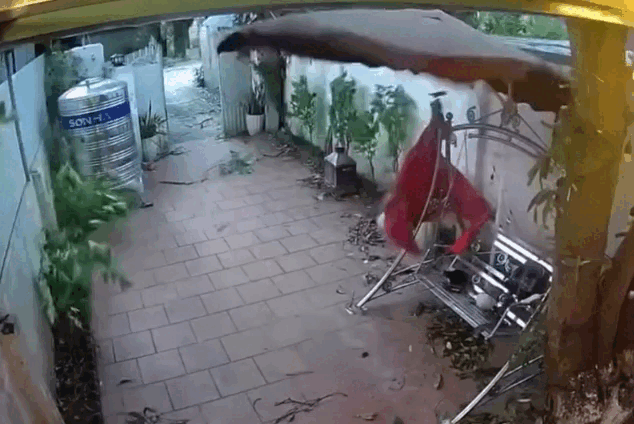 Canh xoai gay suyt trung nguoi, camera ghi canh thot tim hinh anh