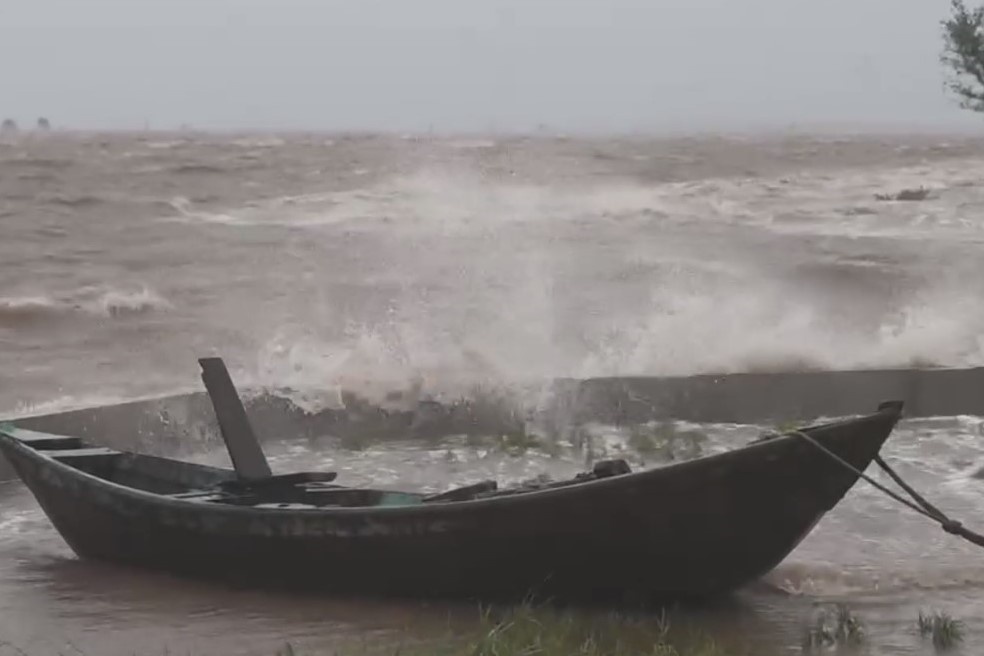 Bao Wipha do bo dat lien, Hung Yen mua to hinh anh