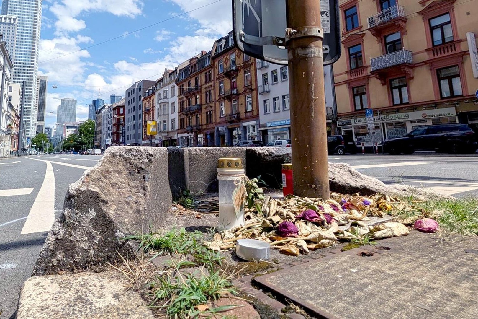 Hai anh em song sinh nguoi Viet tu vong trong tai nan thuong tam o Duc hinh anh