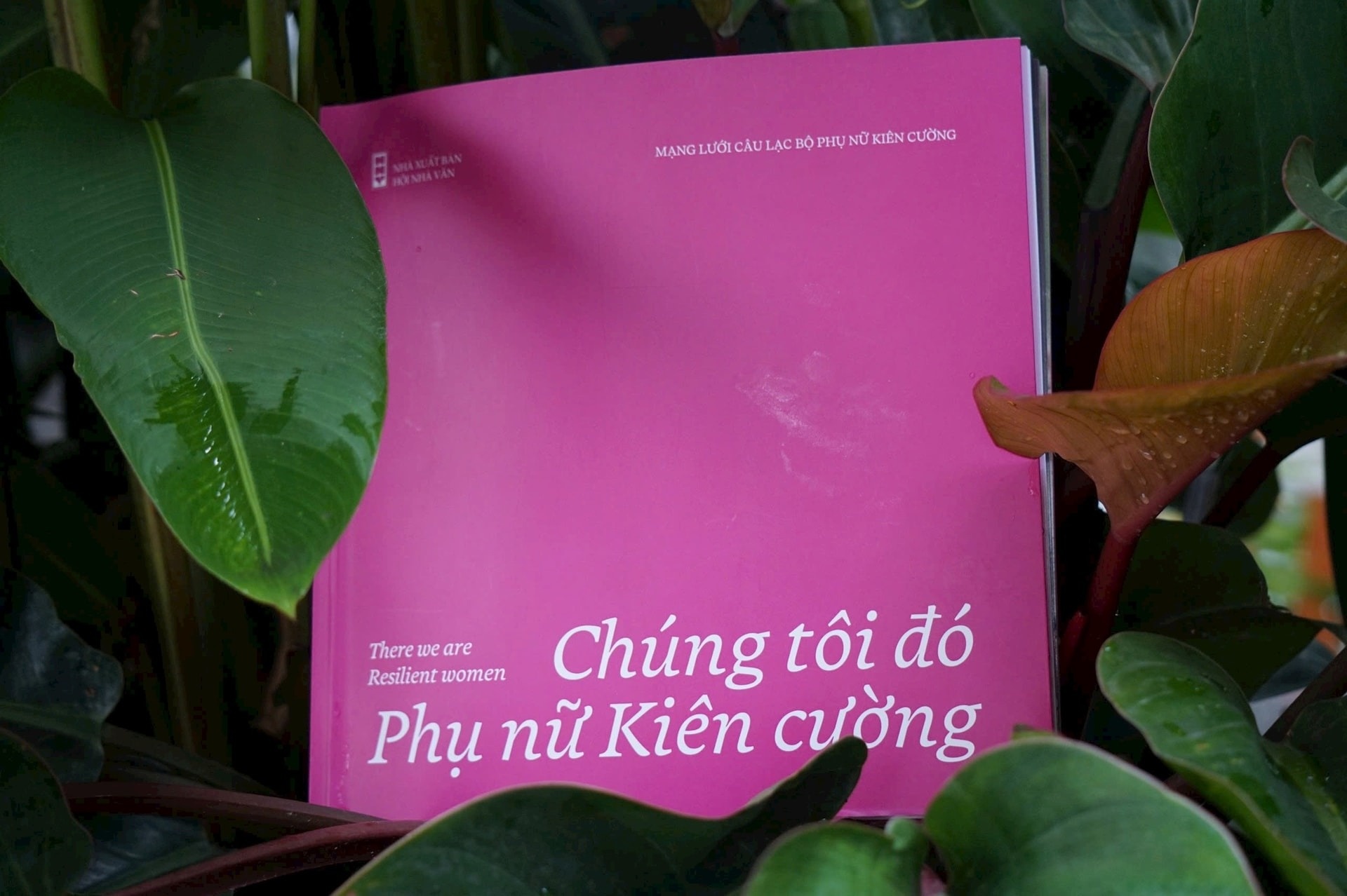 chien dau voi ung thu anh 2