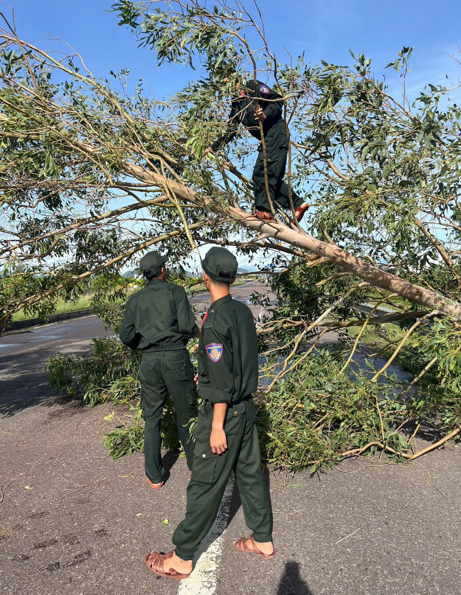 canh sat co dong anh 3