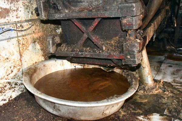 phat hien thuc pham ban anh 1