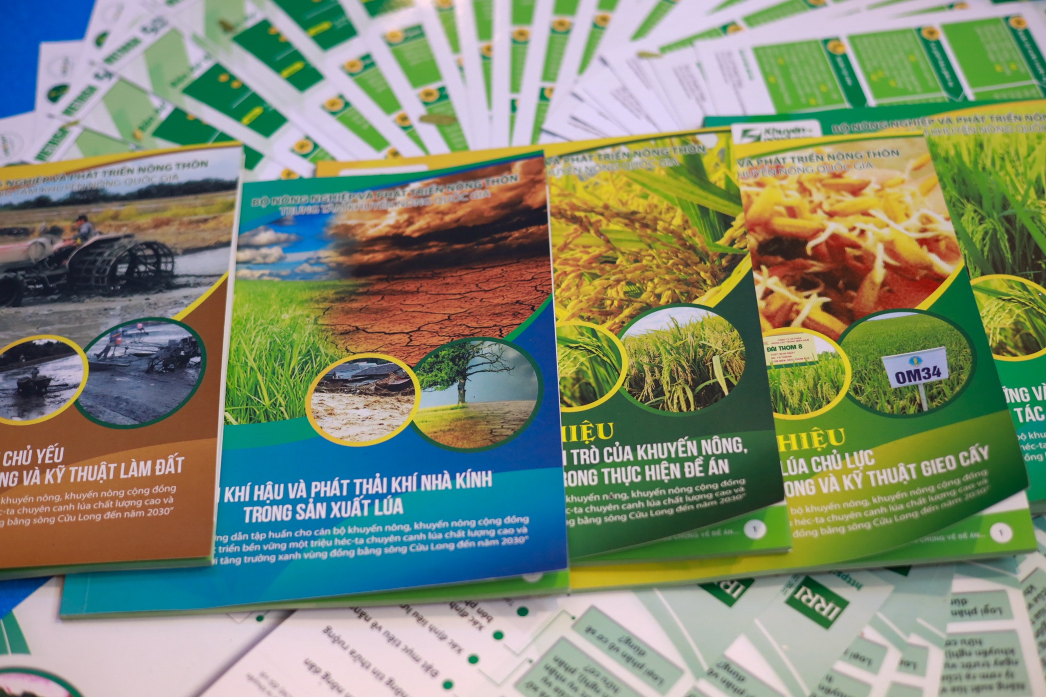 dong bang song cuu long anh 3