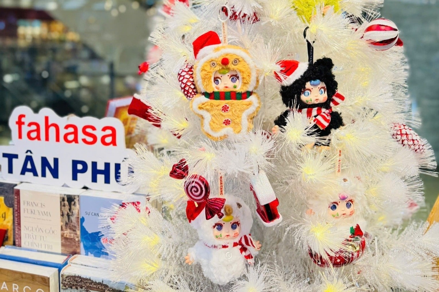 Doc dao cay thong baby three, cay thong sach ngay Giang sinh o TP.HCM hinh anh