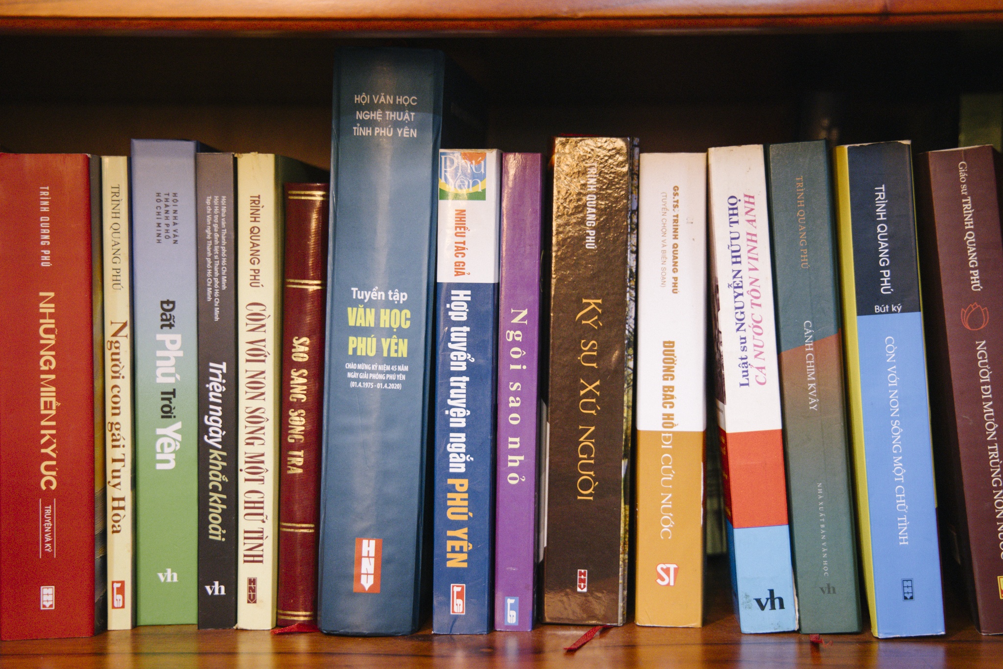 vo nguyen giap anh 14