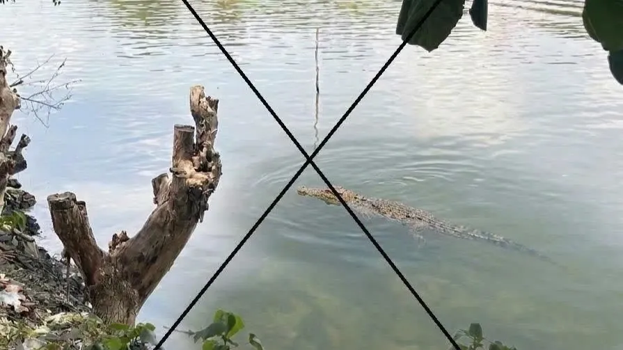 Tao anh ca sau hu em lai gay xon xao dia phuong hinh anh