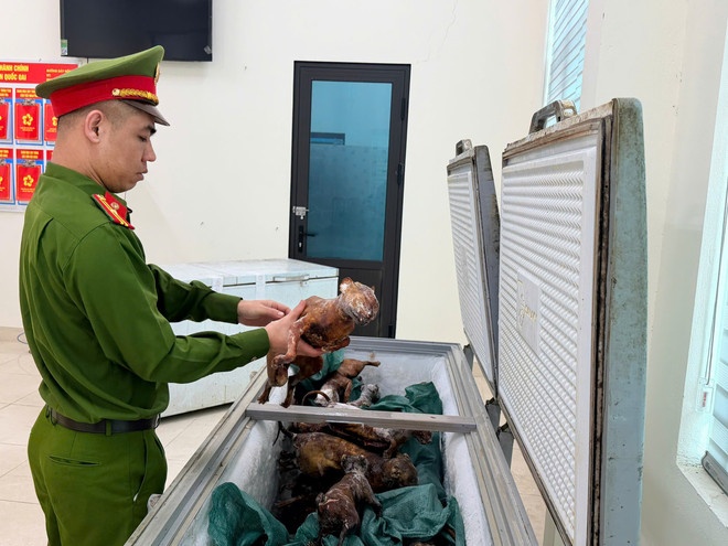 Triet pha o nhom trom meo quy mo lon, tieu thu hon 300 con hinh anh