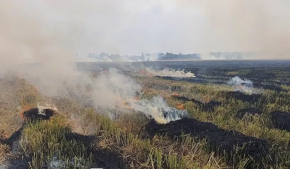 Tu vong do ngat khoi khi dot rom ra ngoai dong hinh anh