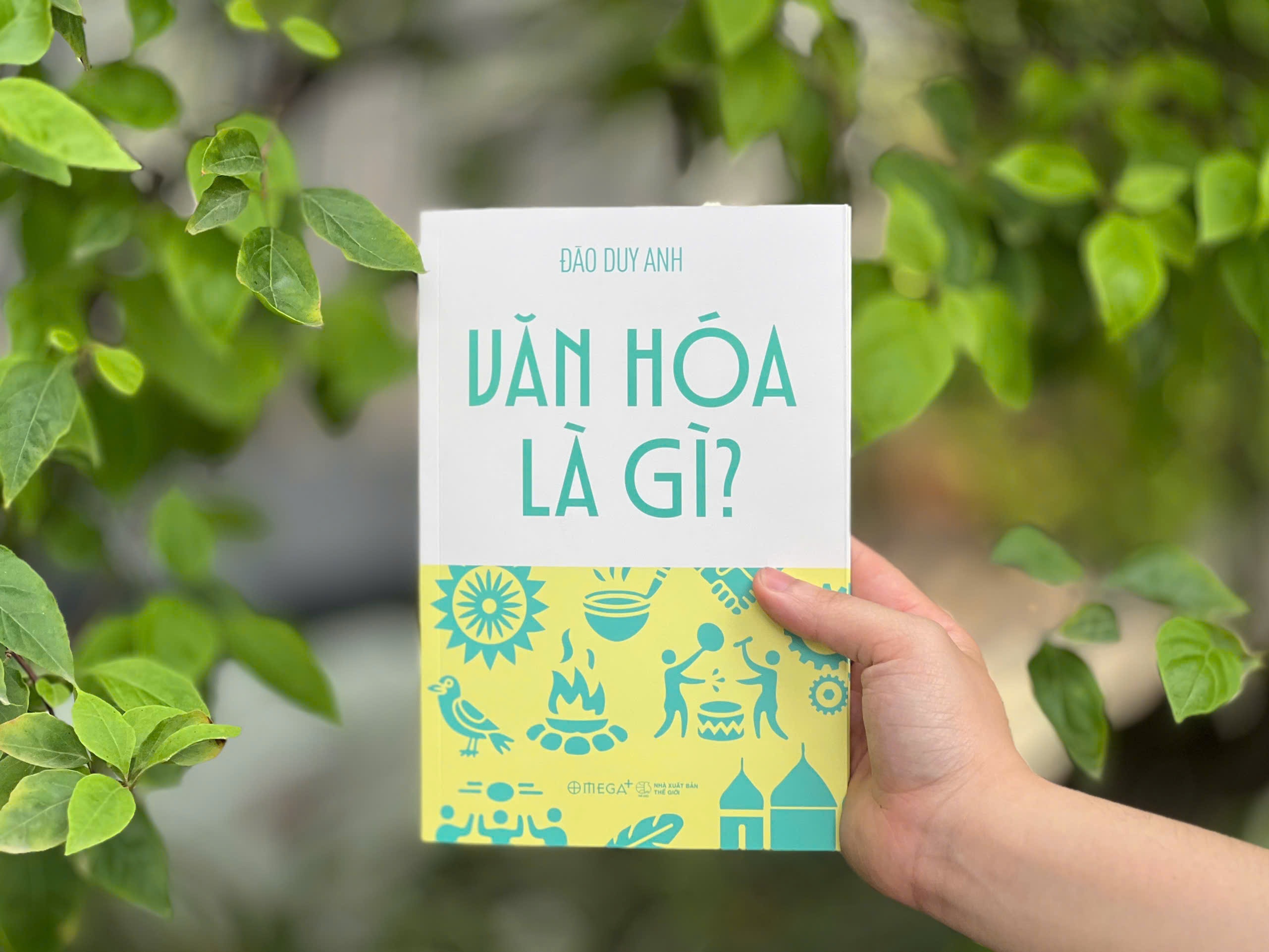 van hoa anh 2