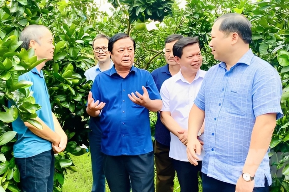 Dua sach ve ruong dong de nong dan tu ke chuyen nong san Viet hinh anh