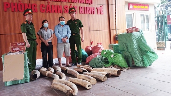 Triet pha duong day buon lau 242 kg nga voi va gan 70.000 bao thuoc la lau hinh anh