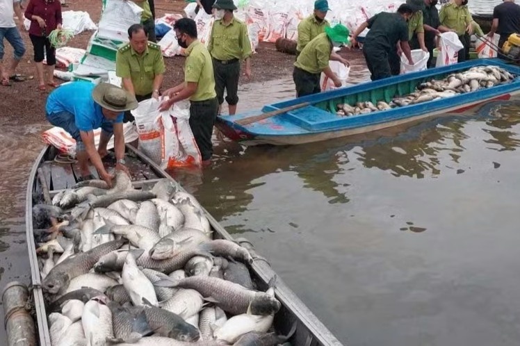 Hon 100 tan ca long be tai ho Tri An chet bat thuong hinh anh
