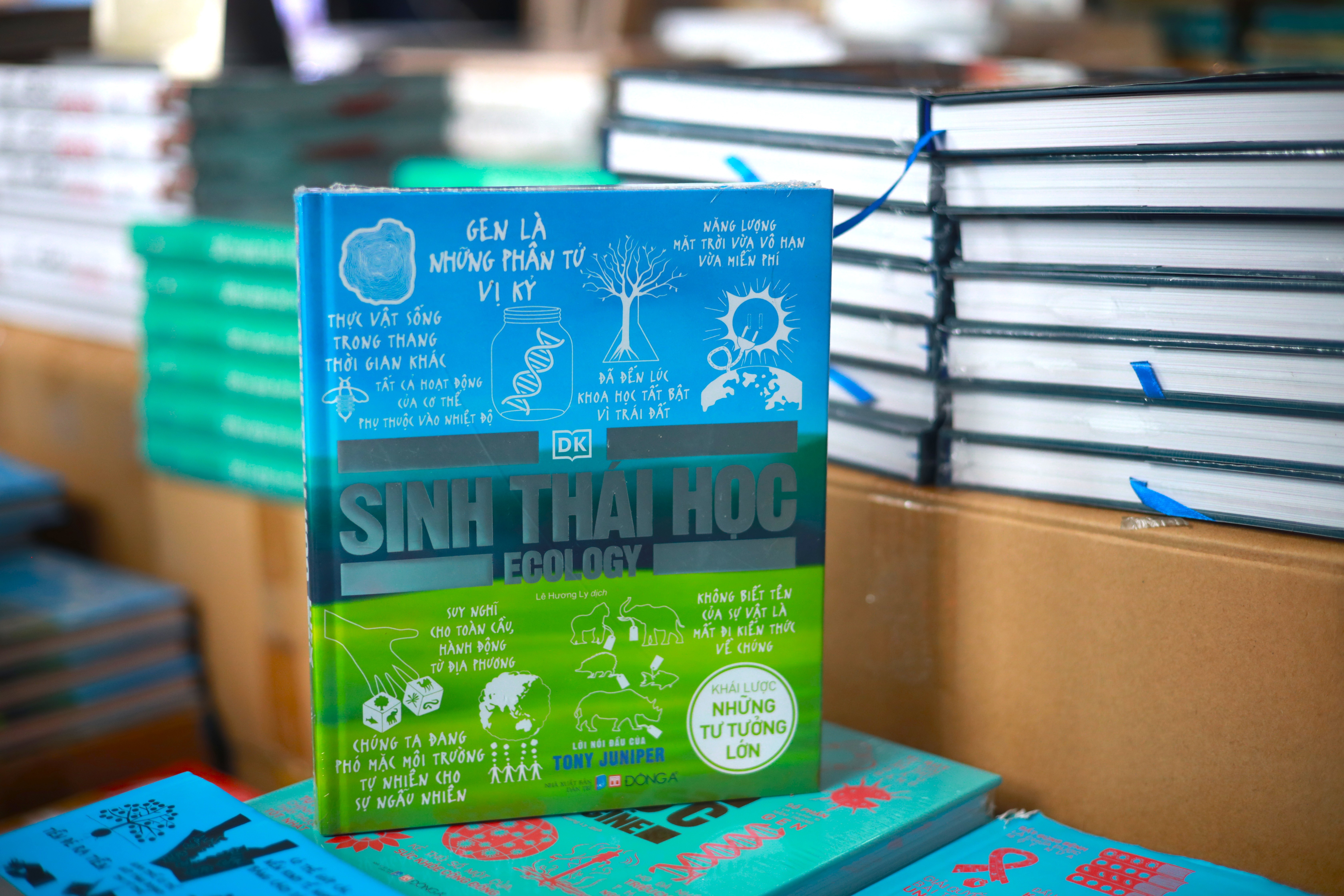 ban chay anh 12