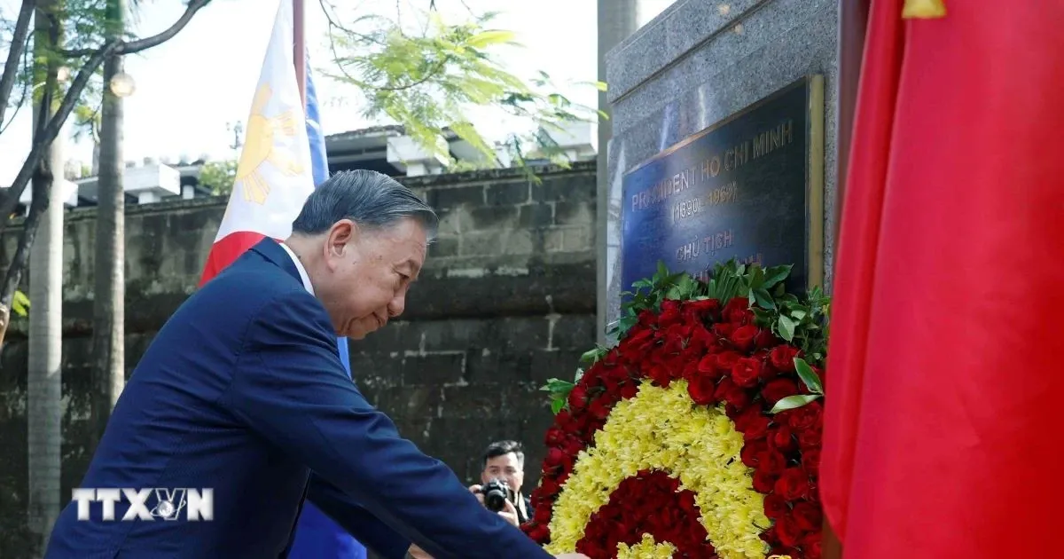 to lam anh 1