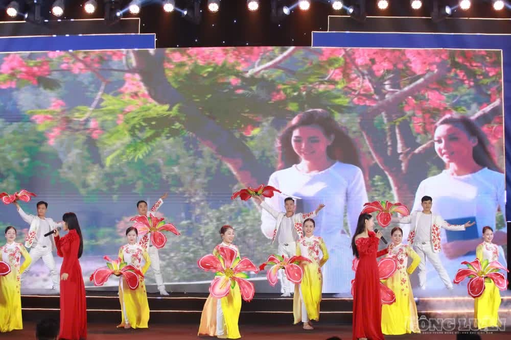 hoi bao anh 10