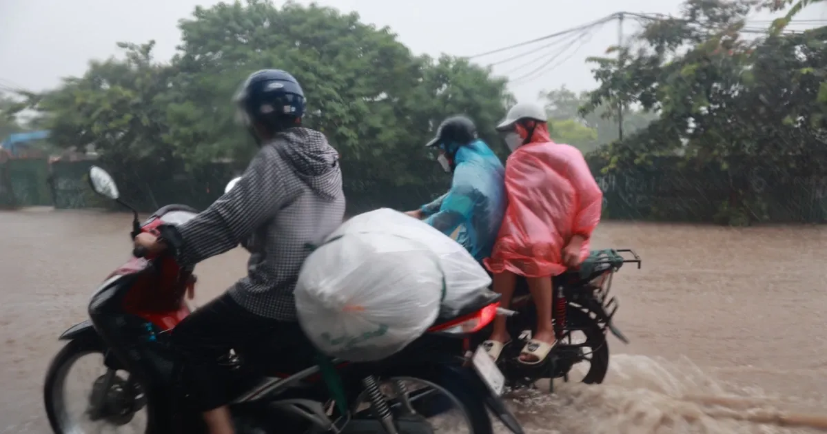 Vung nui va trung du Bac Bo sap don dot mua rat lon hinh anh