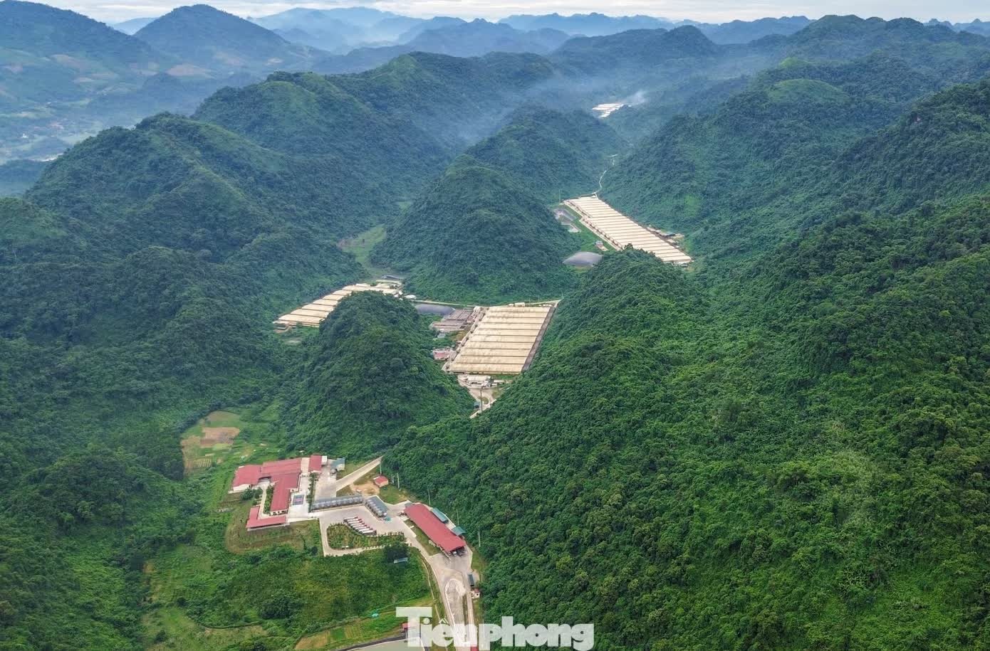 trại lợn ảnh 1