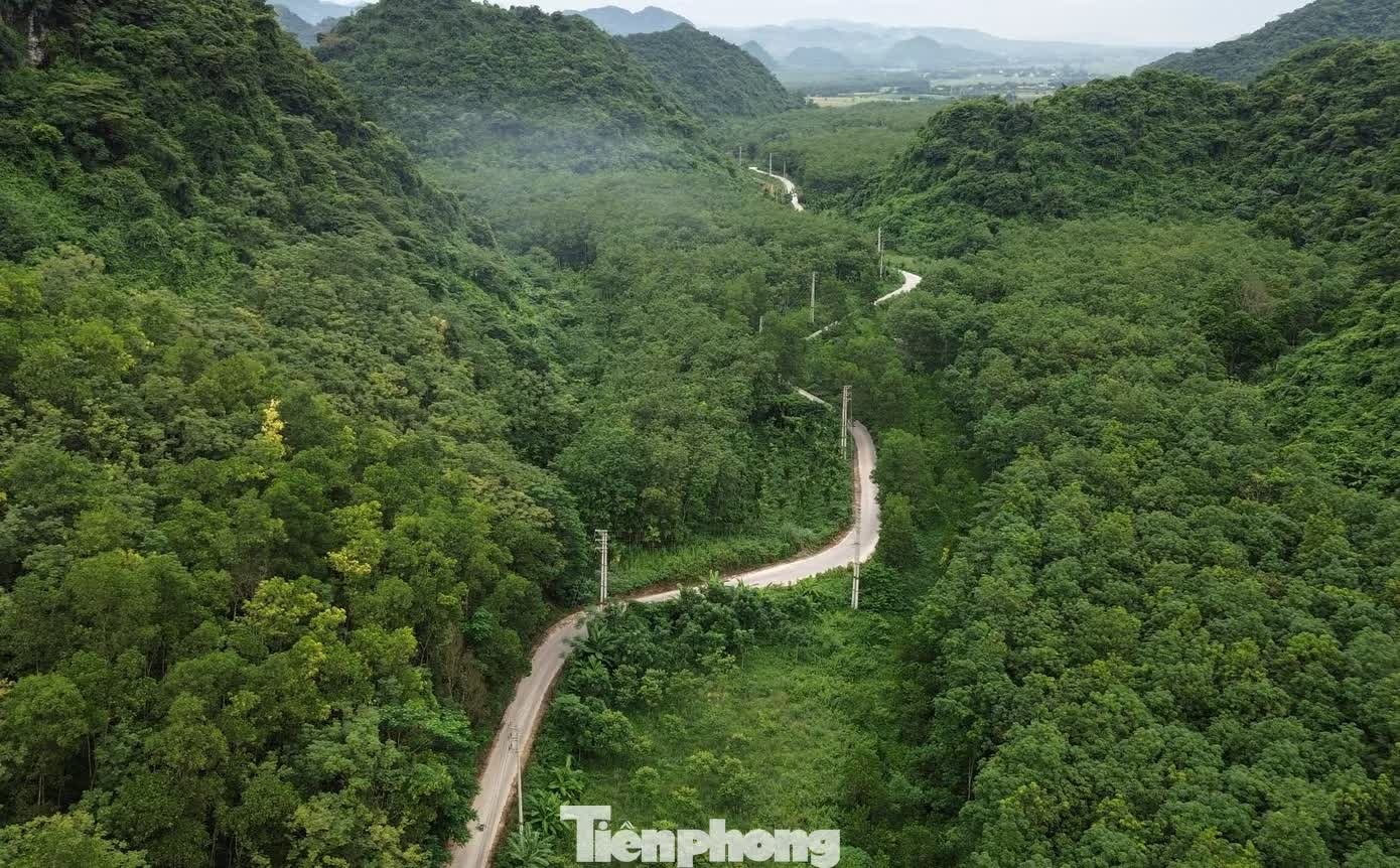 trại lợn ảnh 3