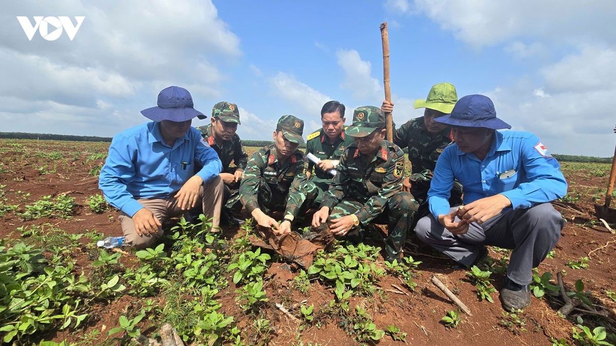 phần mộ ảnh 5