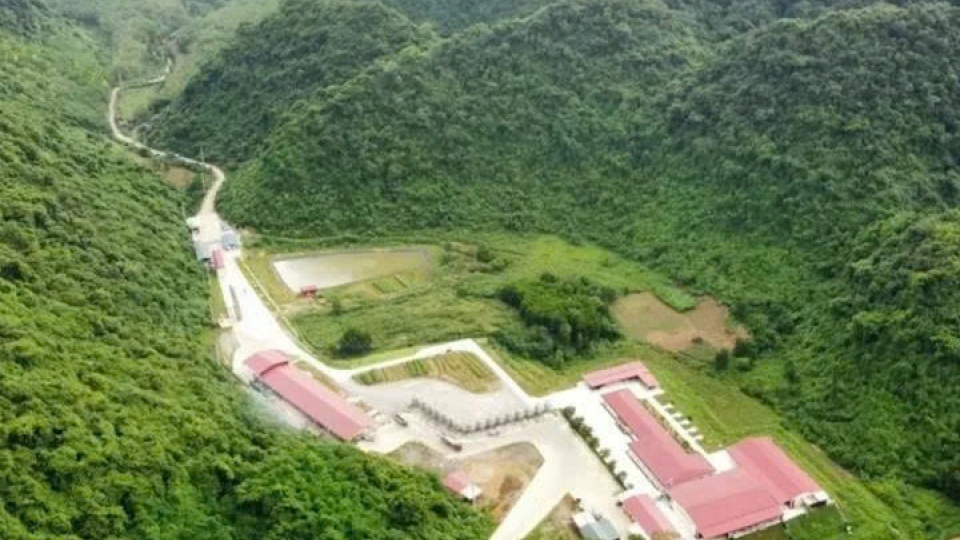 dabaco ảnh 1