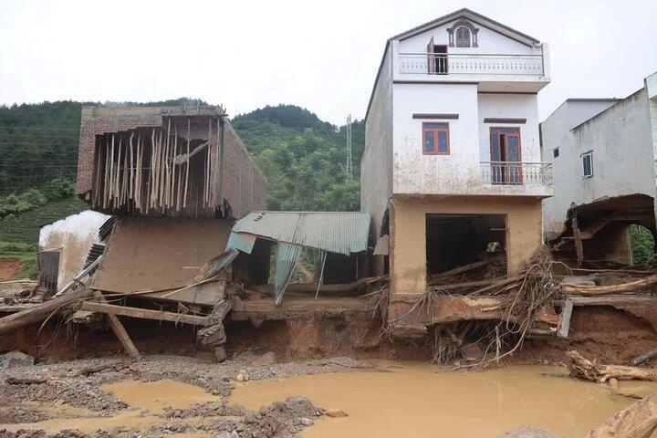 lai ch&acirc;u ảnh 6