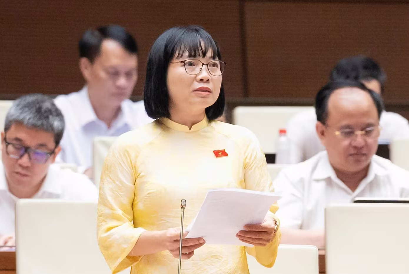 quốc hội ảnh 2