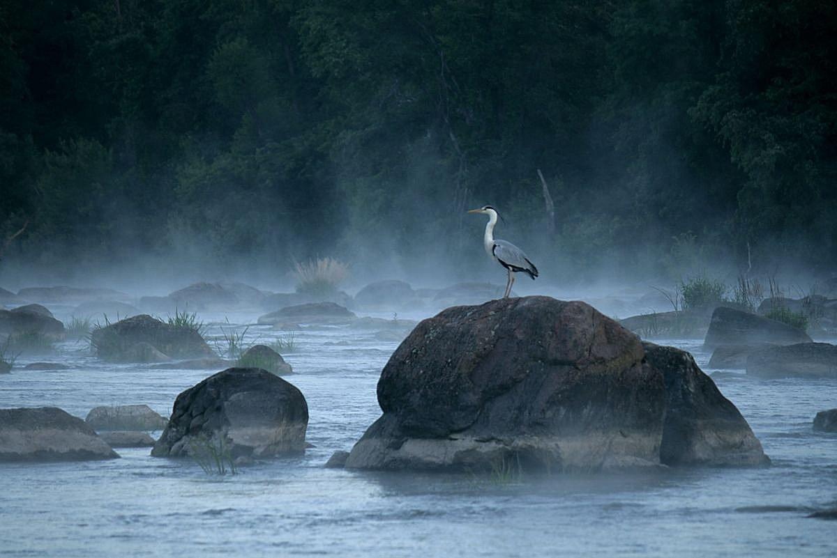 Nơi d&ograve;ng s&ocirc;ng m&atilde;i chờ ảnh 1
